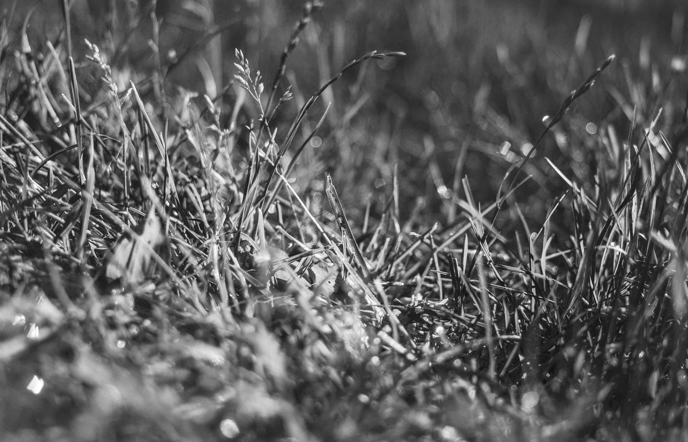 Salon looking forward