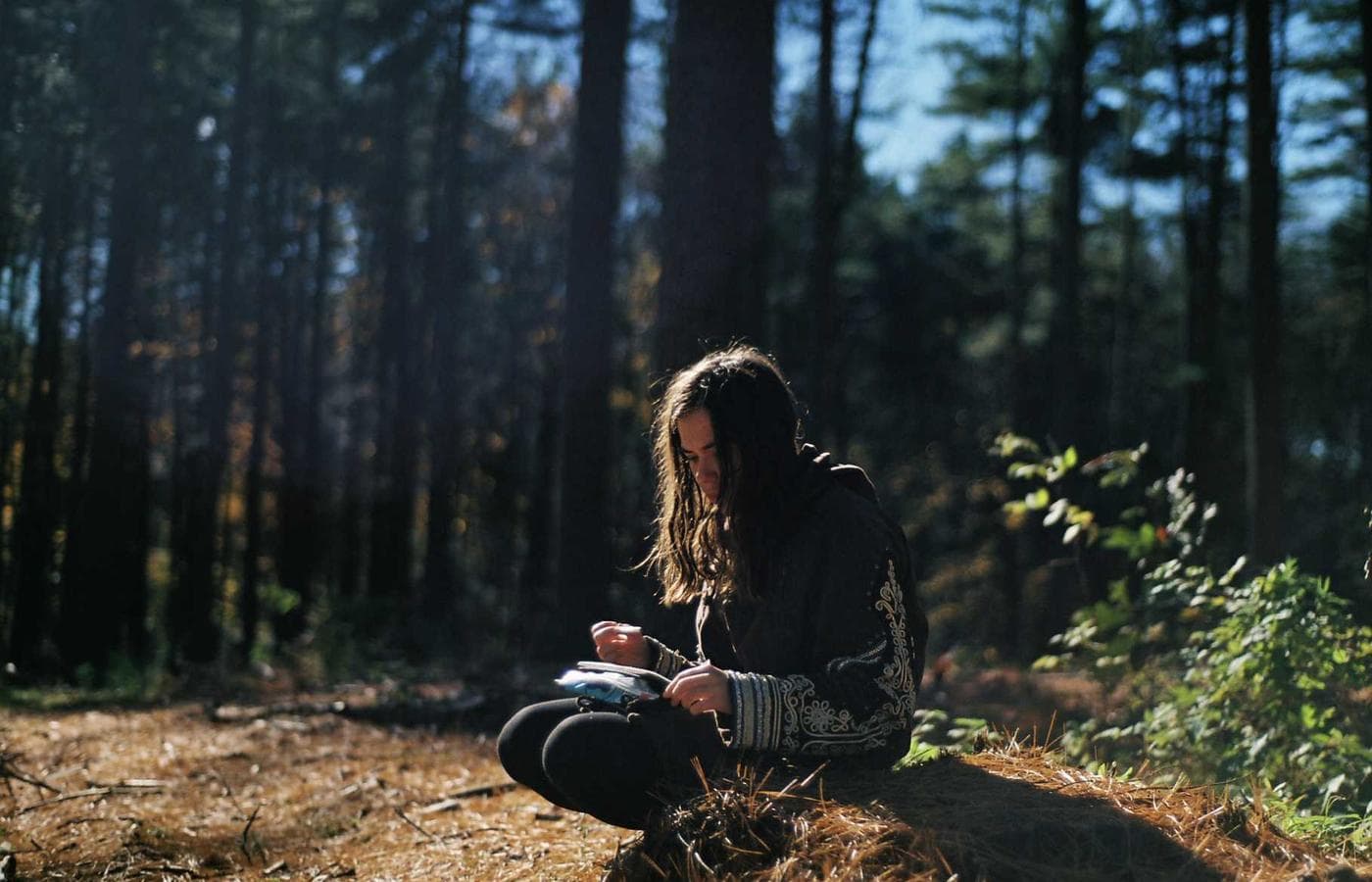 Cockpit and fighting chair