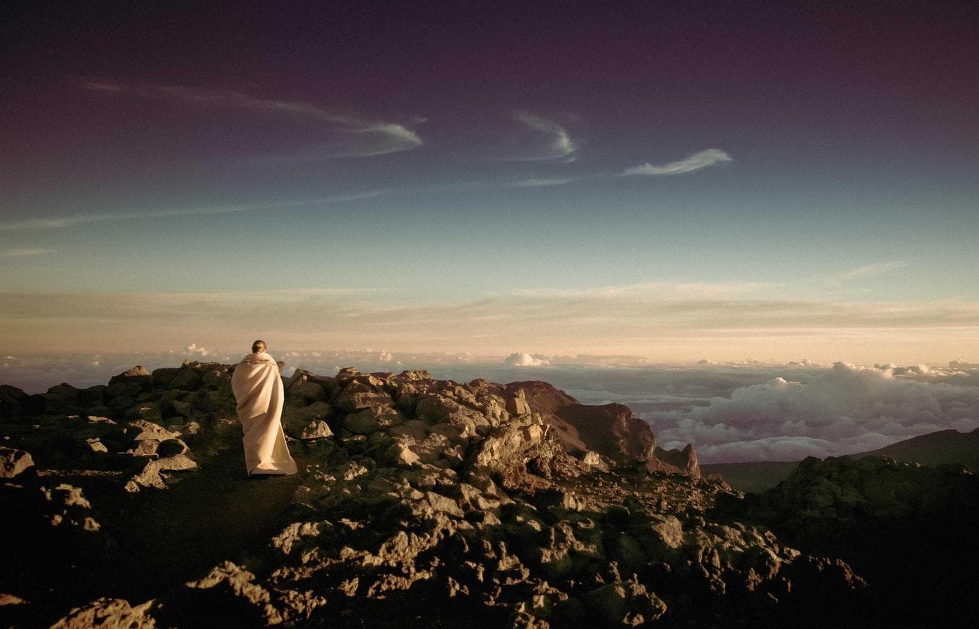 Cockpit and fighting chair